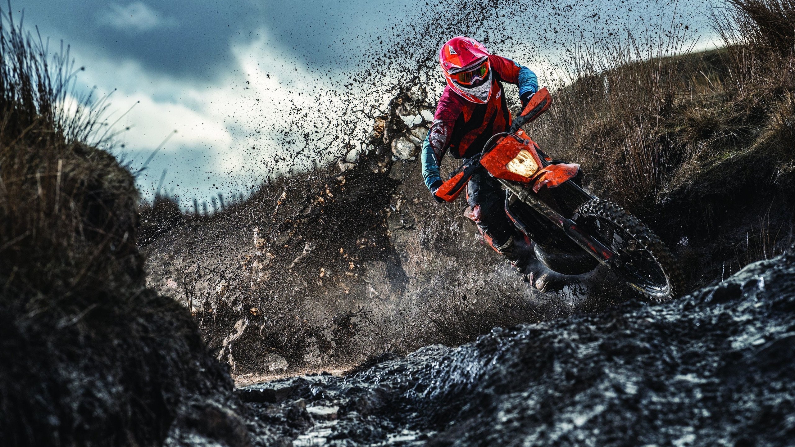 奇库诺娃完美起跳助力夺冠，库奇娜百度百科